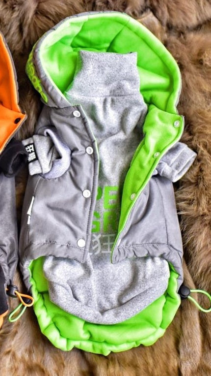 Keep Your Hairless Cat Cozy with Our Stylish Winter Coat!