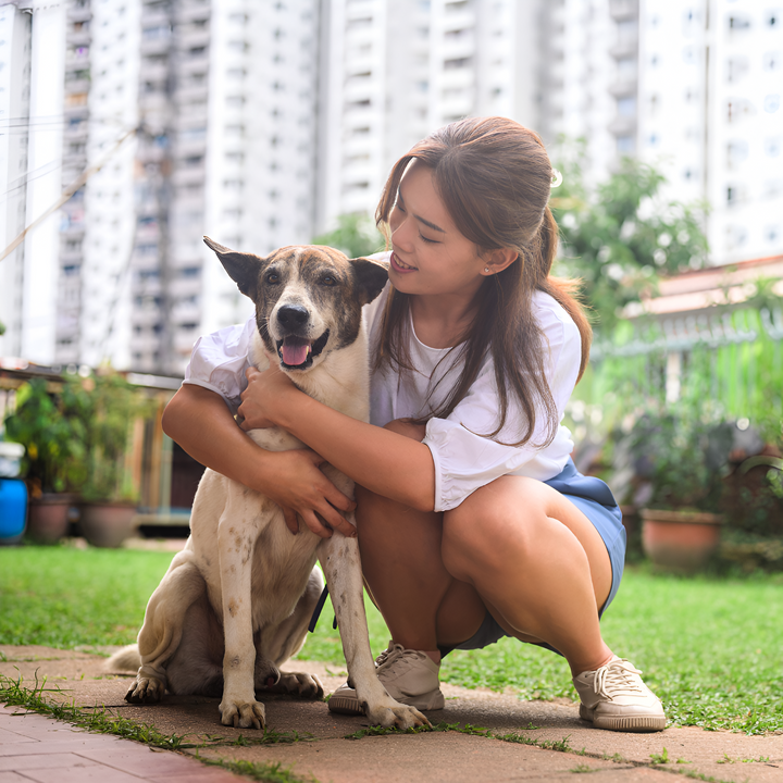 Must-Have Essentials for Every Pet Owner