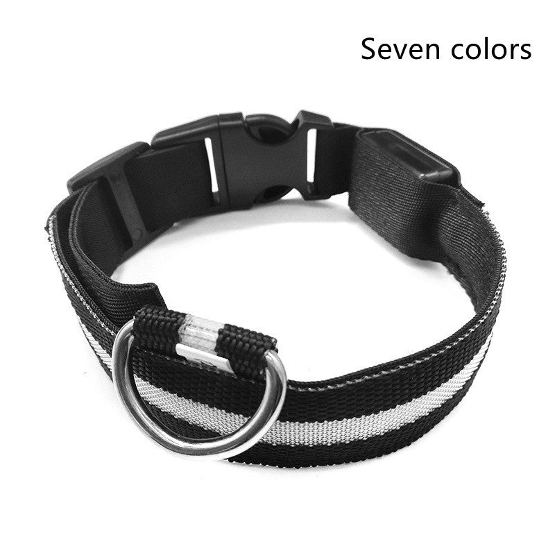 LED Dog Safety Collar – USB Rechargeable or Battery-Powered Glowing Nylon Collar with 4 Light Modes (7 Colors, XS–XL)