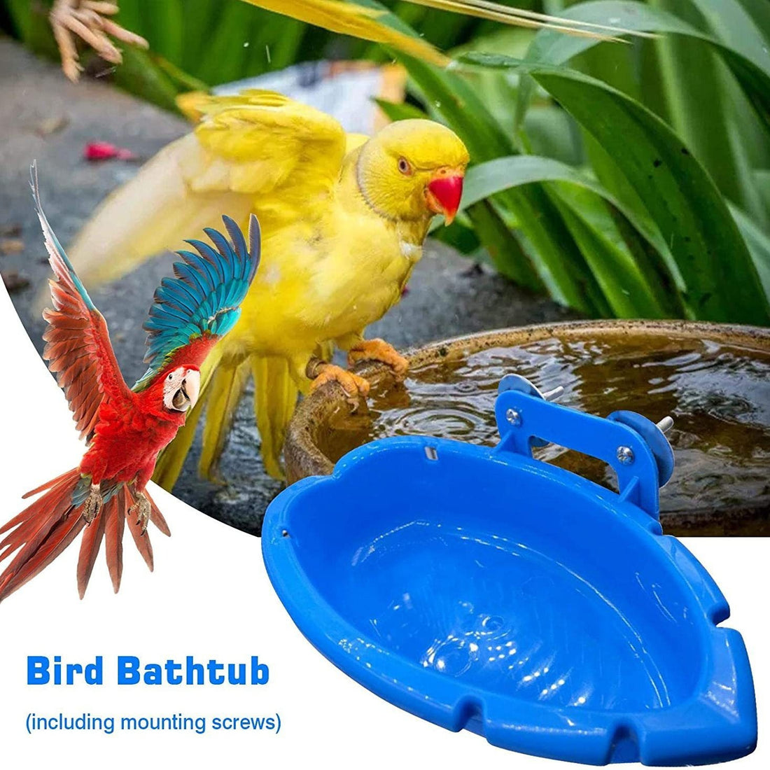 Multifunctional Bird Feeder & Bathtub – Small Plastic Bath Box with Optional Rattan Balls (Single, 4-Pack, 10-Pack Options)