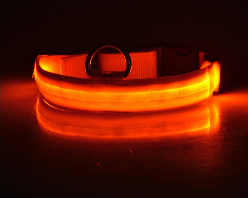 LED Dog Safety Collar – USB Rechargeable or Battery-Powered Glowing Nylon Collar with 4 Light Modes (7 Colors, XS–XL)