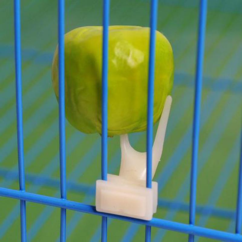 2-Pack Bird Fruit Fork Clips – Plastic Treat Holders for Bird Cages, Small Animal Huts (Fits 1–1.5cm (0.39 – 0.59 inches) Wire Spacing)2-Pack Bird Fruit Fork Clips – Plastic Treat Holders for Bird Cages, Small Animal Huts (Fits 1–1.5cm Wire Spacing)