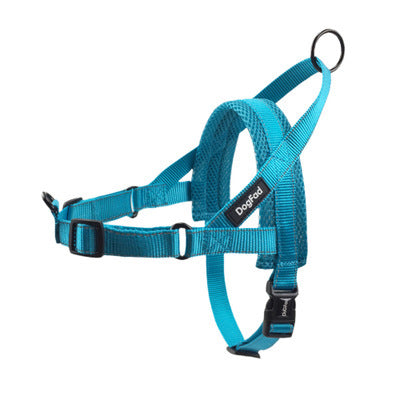 Adjustable Dog Harness with Leash