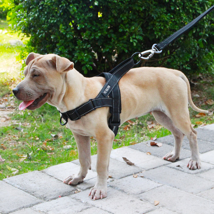 Adjustable Dog Harness with Leash