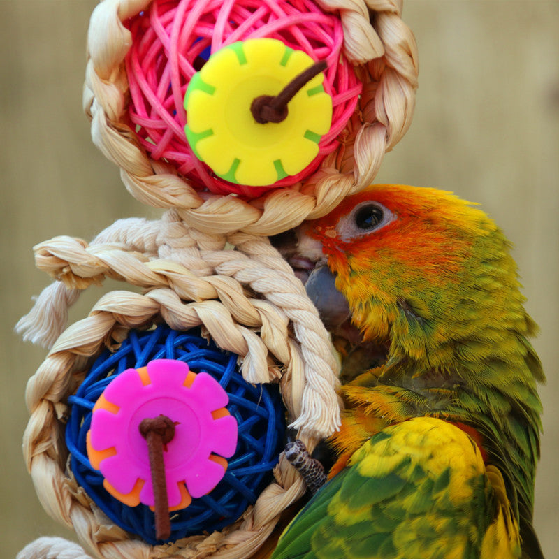 Natural Vine & Luffa Twist Rope Toy – Climbing and Biting Toy for Birds & Parrots (24cm)