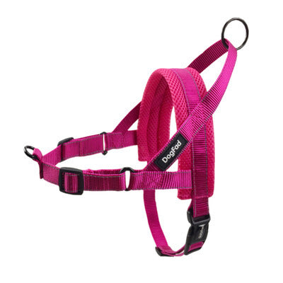 Adjustable Dog Harness with Leash