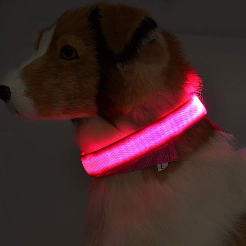 LED Dog Safety Collar – USB Rechargeable or Battery-Powered Glowing Nylon Collar with 4 Light Modes (7 Colors, XS–XL)