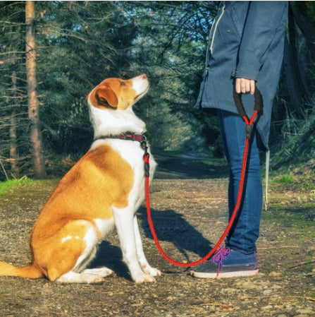 Reflective Dog Leash Set – Heavy-Duty 5ft Rope Leash with Foam Handle, Zinc Alloy Hook & Short Lead – Durable Anti-Slip Pet Lead  (Multiple Colors)