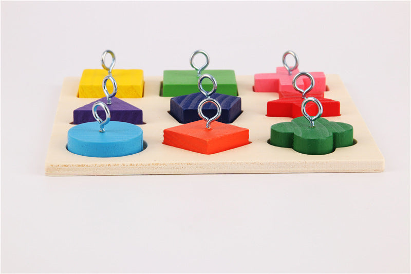 Parrot Training Toy – 9 Color Wooden Blocks on Sorting Platter for Bird Intelligence & Foraging Play