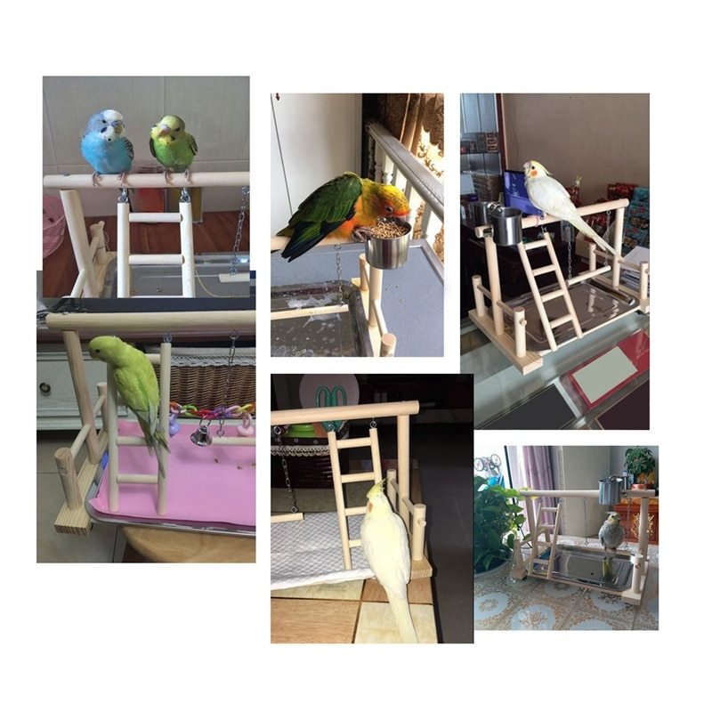 Wooden Bird Playground Stand – Parrot Training Toy Rack with Ladder, Tray & Feeding Cups (53×23×36cm)