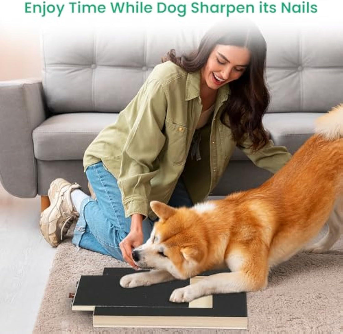 Dog Nail Scratch Board – Wooden Nail Trimming Pad with Treat Drawer, Non-Slip Design for Stress-Free Grooming