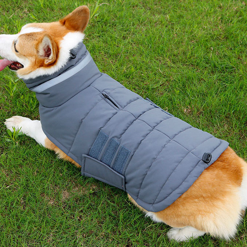 Insulated Dog Coat – Waterproof Winter Vest