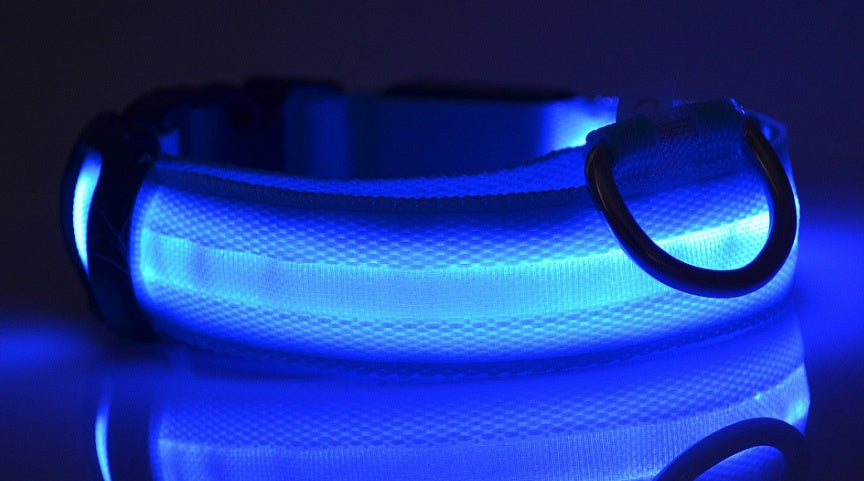 LED Dog Safety Collar – USB Rechargeable or Battery-Powered Glowing Nylon Collar with 4 Light Modes (7 Colors, XS–XL)