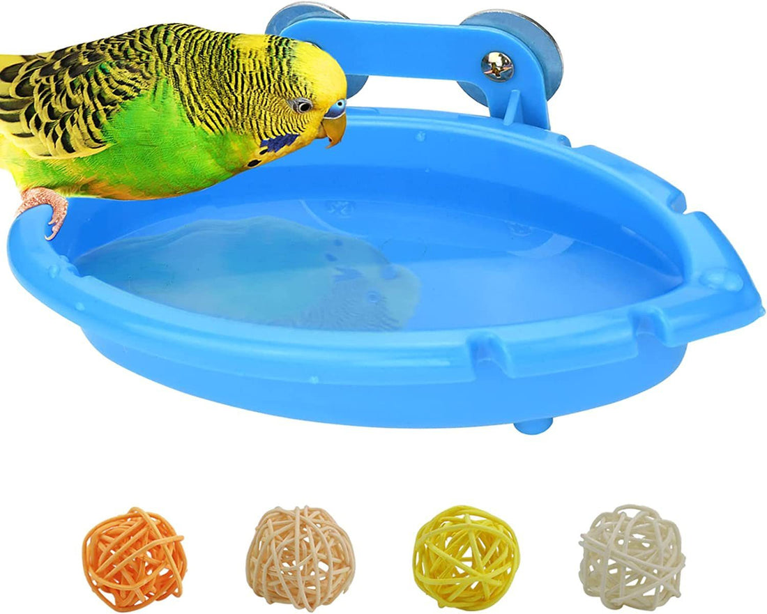 Multifunctional Bird Feeder & Bathtub – Small Plastic Bath Box with Optional Rattan Balls (Single, 4-Pack, 10-Pack Options)