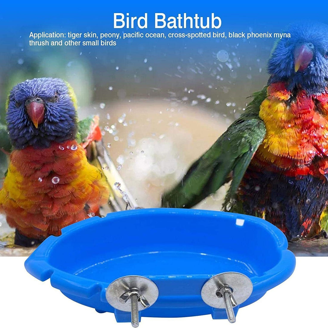 Multifunctional Bird Feeder & Bathtub – Small Plastic Bath Box with Optional Rattan Balls (Single, 4-Pack, 10-Pack Options)
