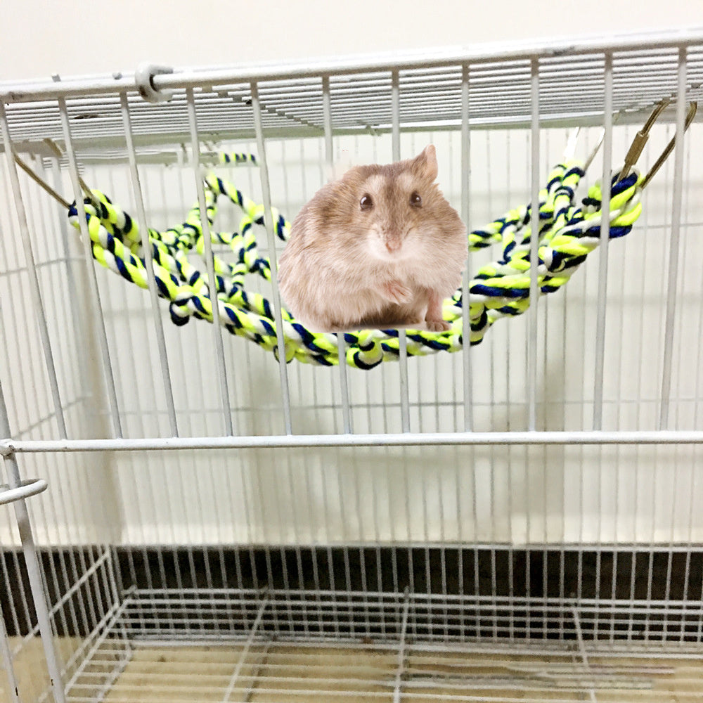 Colorful Woven Climbing Net for Parrots & Small Pets – Dual-Use Hammock and Activity Toy for Hamsters, Squirrels, and Sugar Gliders (7.9" × 11")