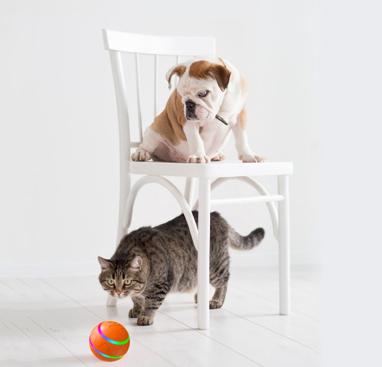 Automatic Cat Toy Ball – Smart Movement, Rechargeable, Interactive Play