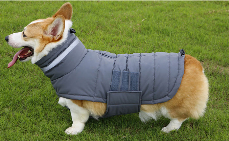 Insulated Dog Coat – Waterproof Winter Vest