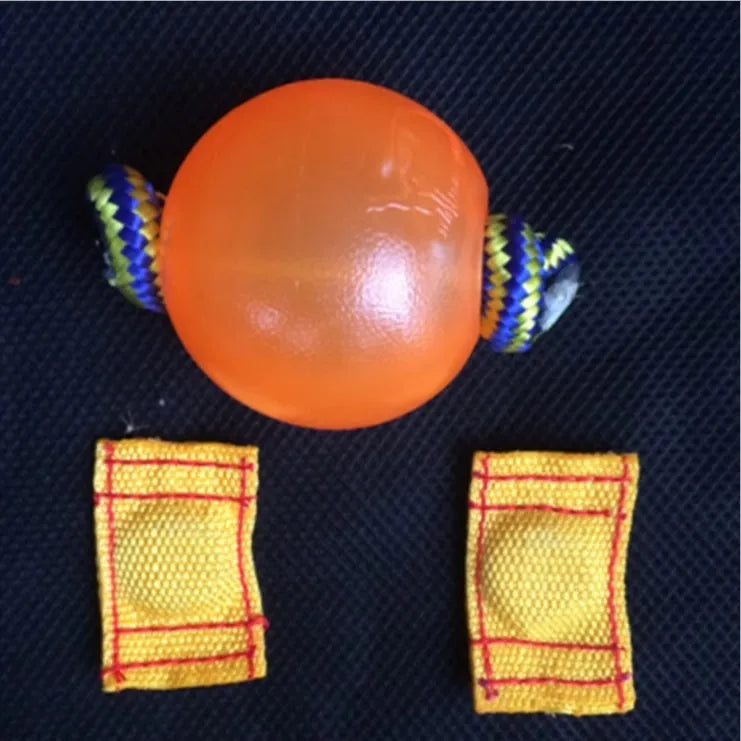 Dog Training Magnetic Ball  Magnetic balls are perfect for teaching clueless heel work and getting a high energy position with upwards focus.