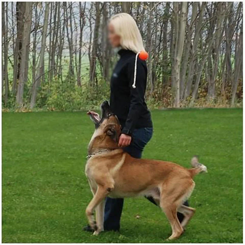 Dog Training Magnetic Ball  Magnetic balls are perfect for teaching clueless heel work and getting a high energy position with upwards focus.
