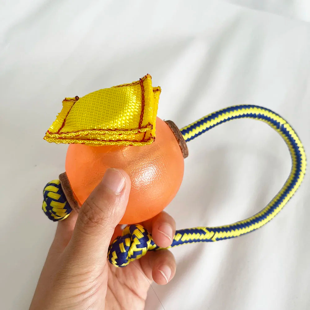 Dog Training Magnetic Ball  Magnetic balls are perfect for teaching clueless heel work and getting a high energy position with upwards focus.