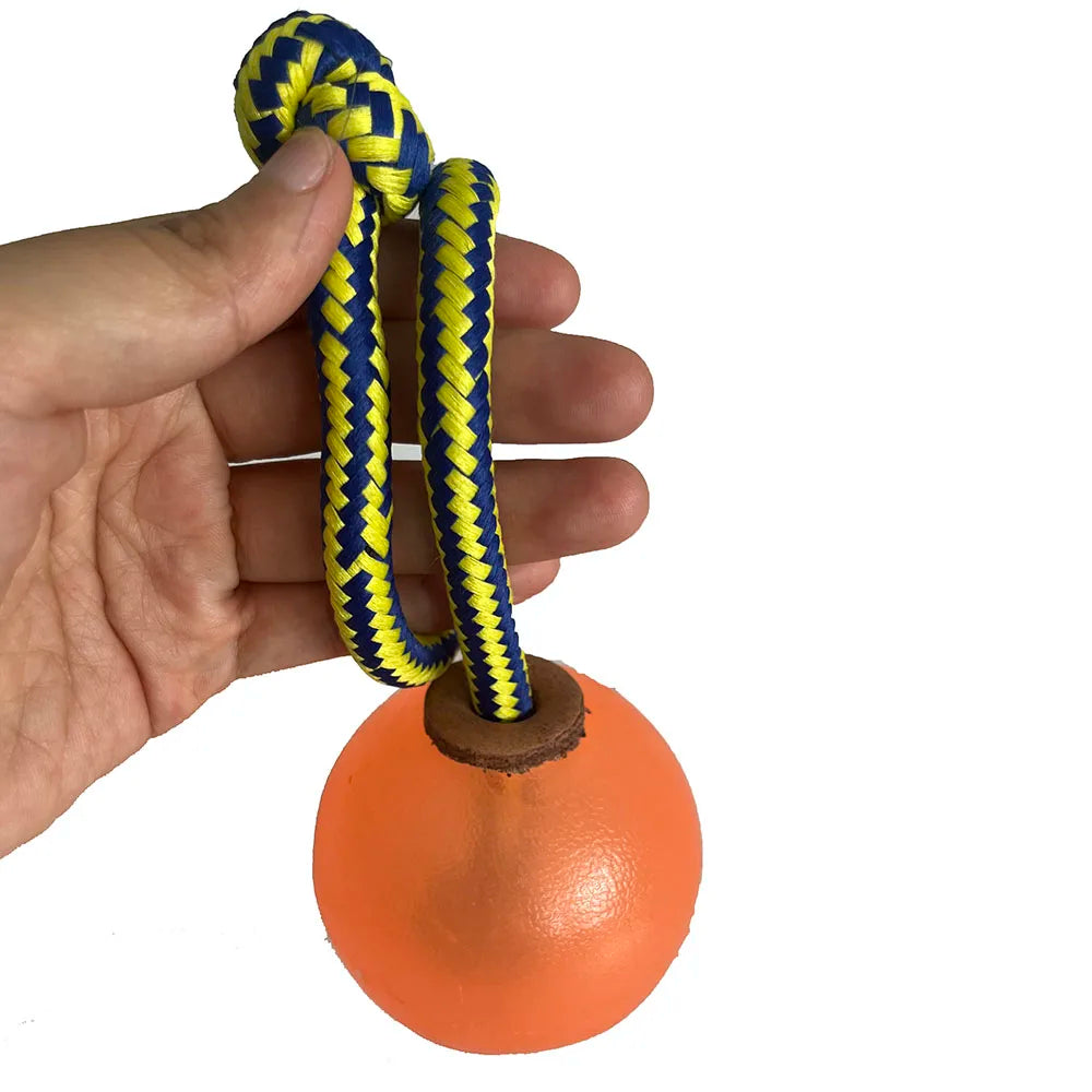 Dog Training Magnetic Ball  Magnetic balls are perfect for teaching clueless heel work and getting a high energy position with upwards focus.