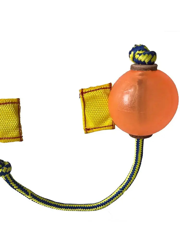 Dog Training Magnetic Ball  Magnetic balls are perfect for teaching clueless heel work and getting a high energy position with upwards focus.