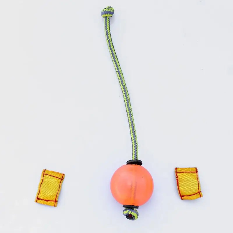 Dog Training Magnetic Ball  Magnetic balls are perfect for teaching clueless heel work and getting a high energy position with upwards focus.