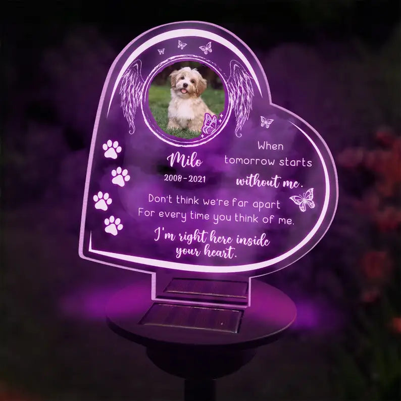 Personalized Pet Memorial Solar Light – Custom 3D Photo LED Lamp for Dog Loss, Grave Marker, Garden & Cemetery Decoration Gift