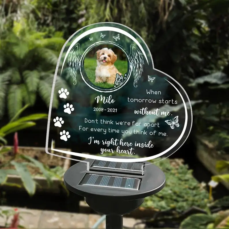 Personalized Pet Memorial Solar Light – Custom 3D Photo LED Lamp for Dog Loss, Grave Marker, Garden & Cemetery Decoration Gift