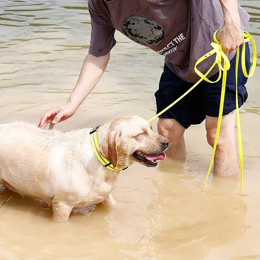 Waterproof Reflective Dog Collar – Adjustable, Anti-Odor, Durable Flex-Poly Design for Active Dogs