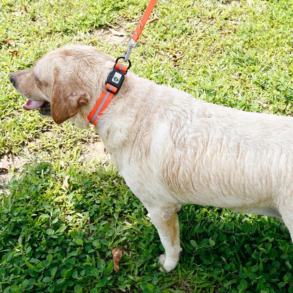 Waterproof Reflective Dog Collar – Adjustable, Anti-Odor, Durable Flex-Poly Design for Active Dogs