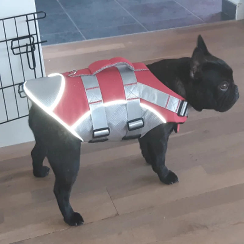 XLeiPet Reflective Dog Life Jacket – Spring/Summer Swim Vest