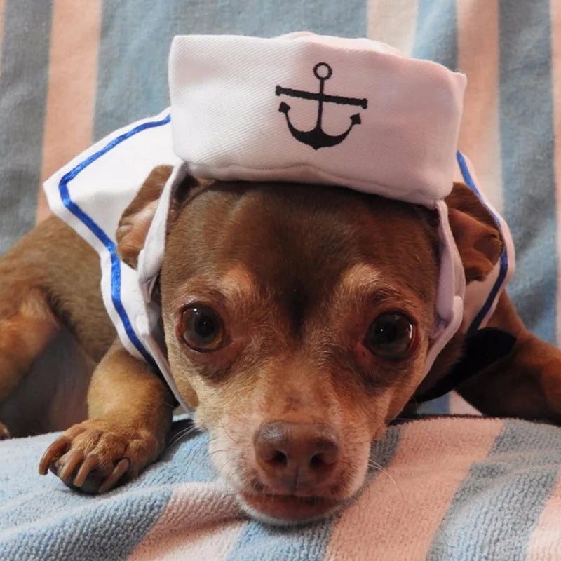 Funny Pet Navy Sailor Costume – Cat & Small Dog Halloween Cosplay Outfit with Adjustable Hat & Cloak