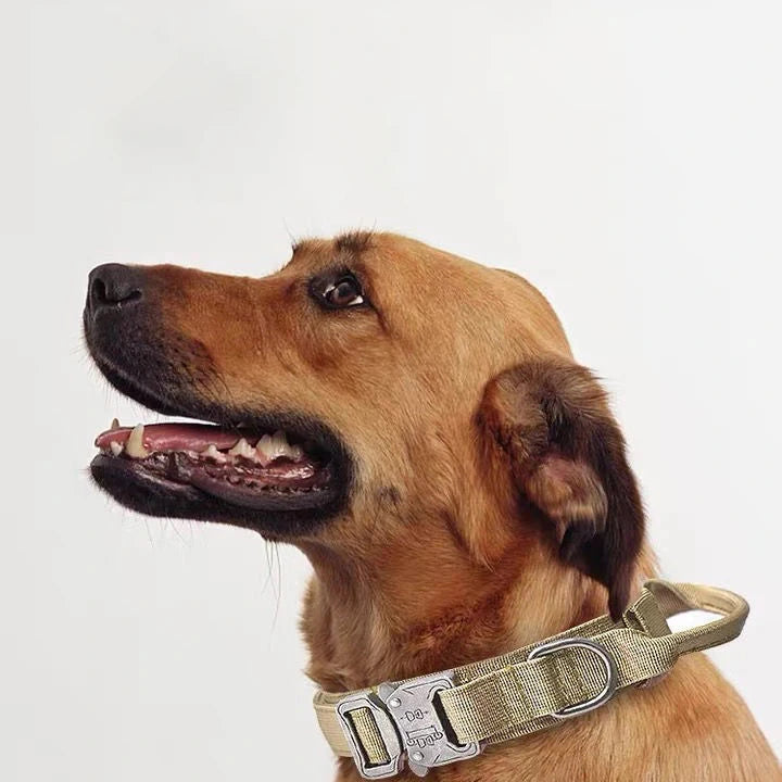 Pet Tactical Training Collar Leash Set -Reflective