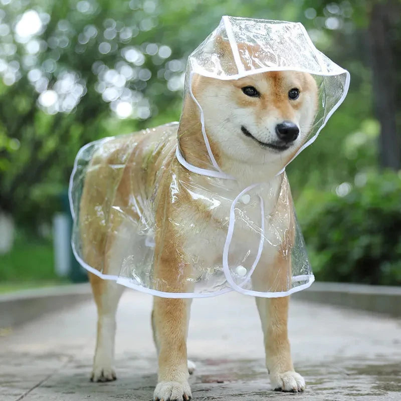Transparent Hooded Dog Raincoat – Lightweight Waterproof Puppy Rain Poncho