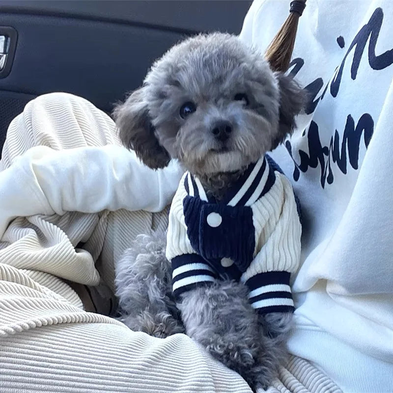 Embroidered Pet Baseball Jacket – Stylish Spring Coat for Small & Medium Dogs and Cats