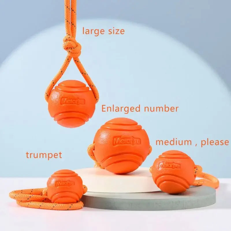 Interactive Dog Training Ball on Rope – Durable TPR Cotton Rope Toy for Catching, Tugging & Chewing