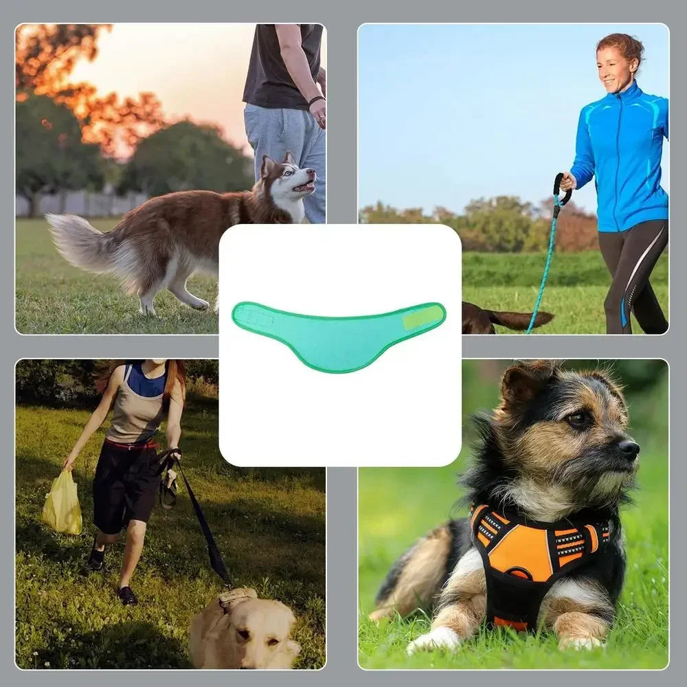 Cooling Bandana for Dogs – Super Absorbent Ice Towel Collar with Adjustable Carabiner | Reusable Summer Cooling Scarf for Medium & Large Dogs
