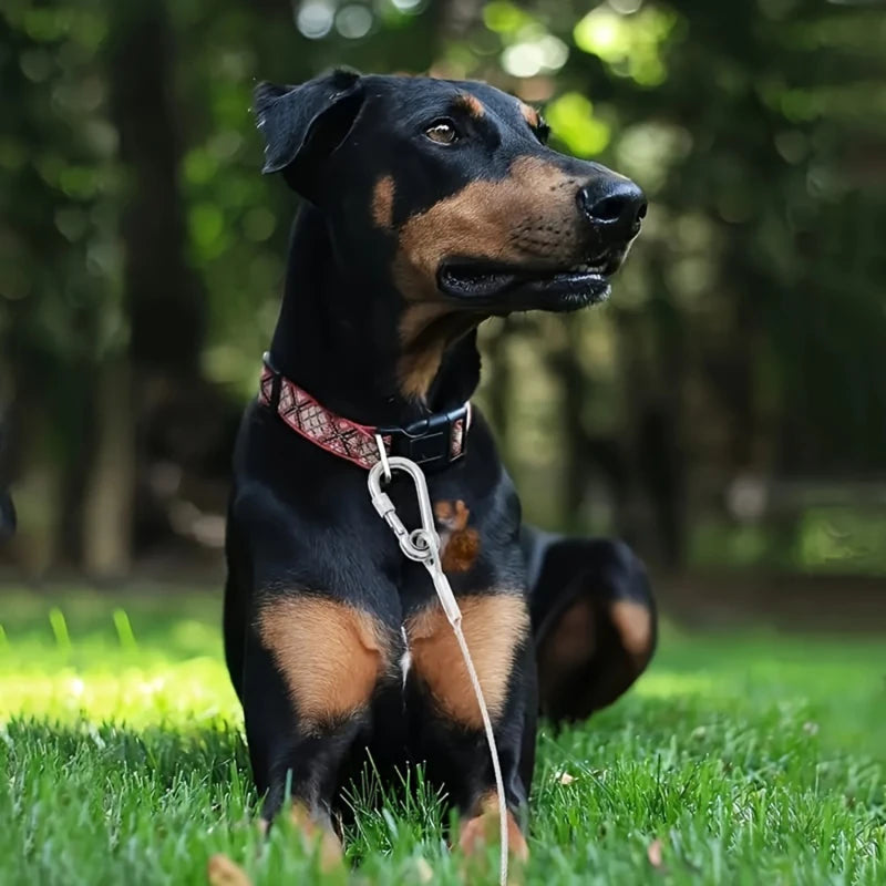 Heavy-Duty Double-Headed Dog Tie-Out Cable Leash – Stainless Steel, Multiple Lengths (6.6 ft to 49 ft)