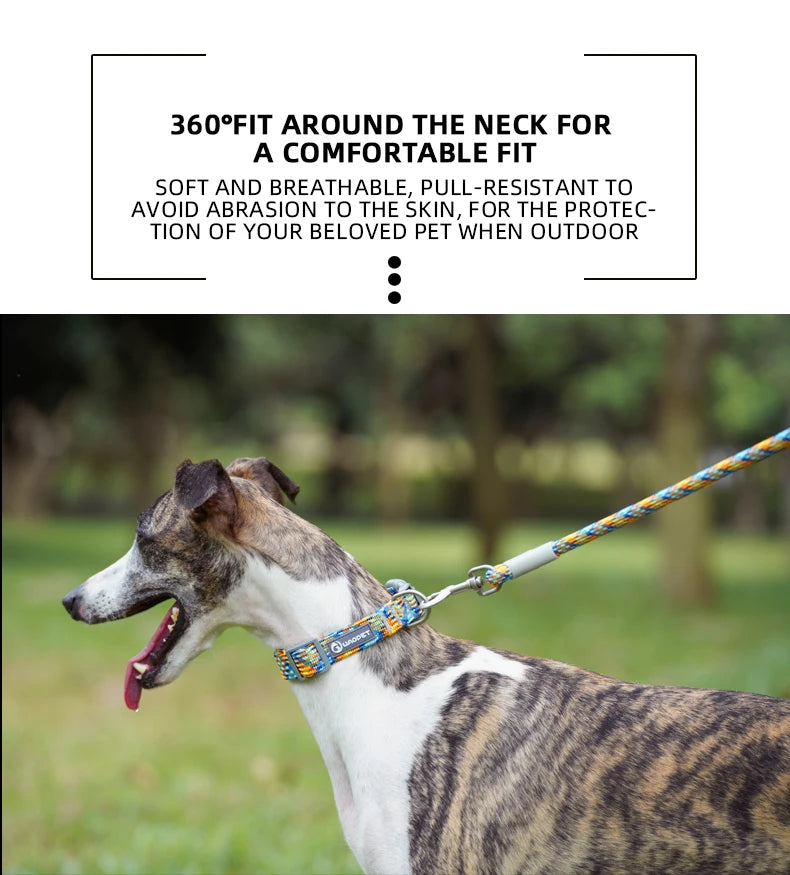 Durable Dog Collar
