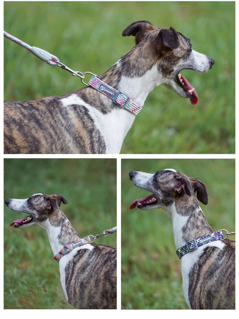 Durable Dog Collar