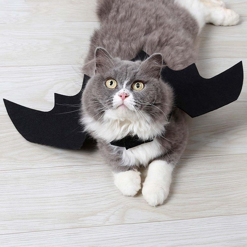 Halloween Bat Wings Costume for Cats & Dogs – Black Felt Harness Outfit | Pet Cosplay Party Clothes