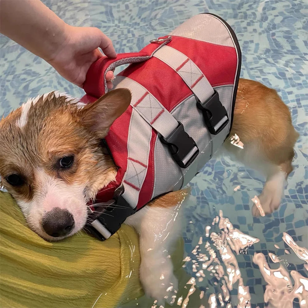XLeiPet Reflective Dog Life Jacket – Spring/Summer Swim Vest