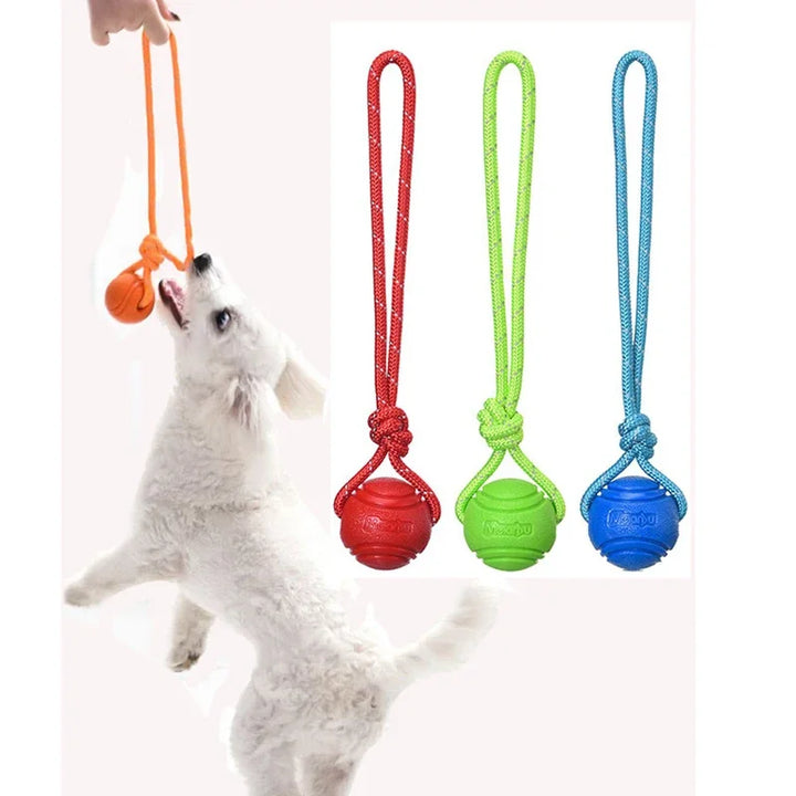 Interactive Dog Training Ball on Rope – Durable TPR Cotton Rope Toy for Catching, Tugging & Chewing
