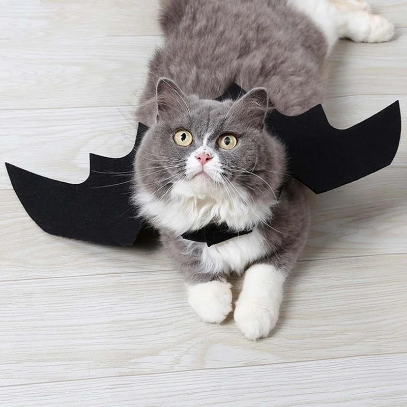 Halloween Bat Wings Costume for Cats & Dogs – Black Felt Harness Outfit | Pet Cosplay Party Clothes