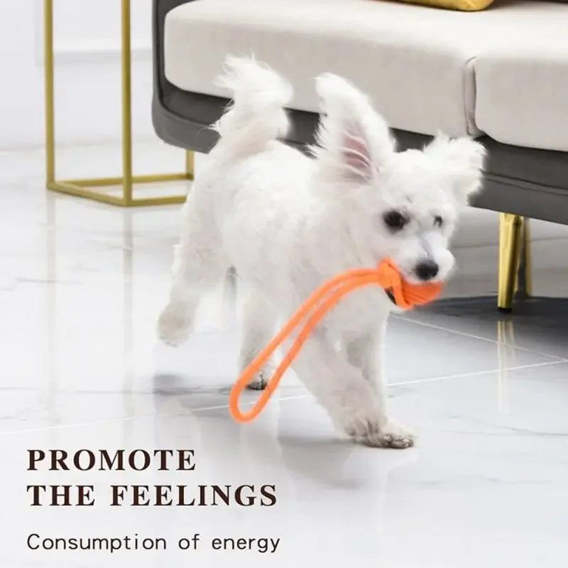 Interactive Dog Training Ball on Rope – Durable TPR Cotton Rope Toy for Catching, Tugging & Chewing