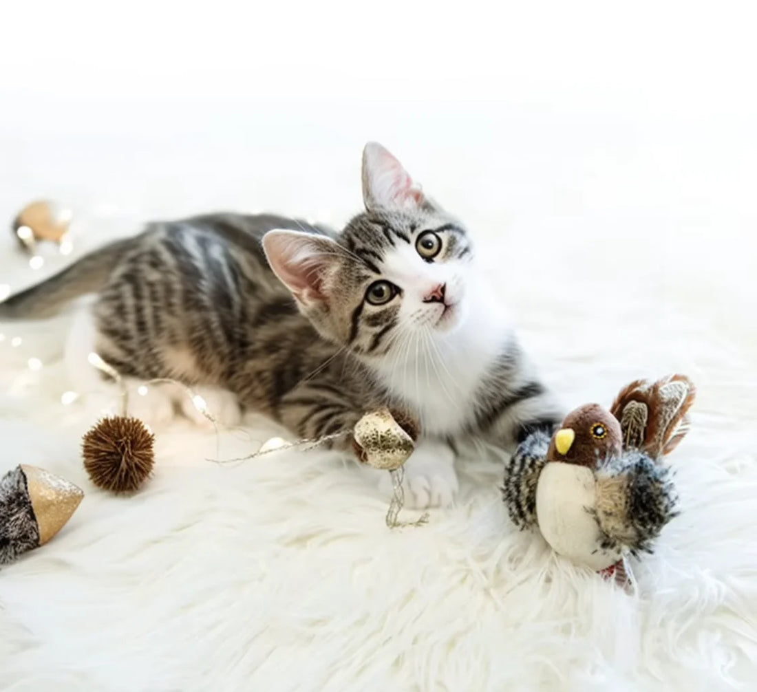 Interactive Electric Chirping Bird Cat Toy – Plush Sparrow with Feather, Catnip & Squeaky Sound | Teasing Toy for Kittens & Indoor Cats