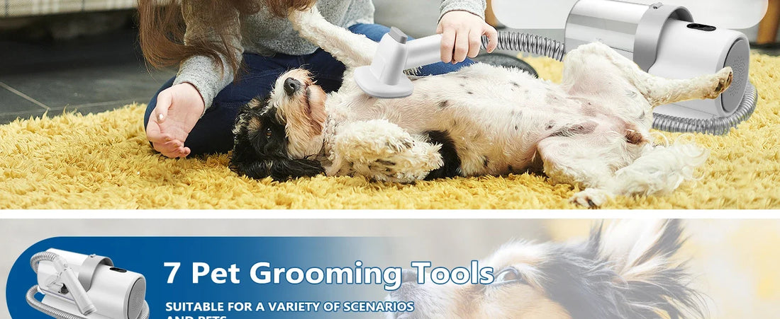 2.5L Pet Grooming Vacuum Kit – Dog & Cat Grooming Kit with Clipper, Combs & Low-Noise Vacuum (US & EU Voltage)
