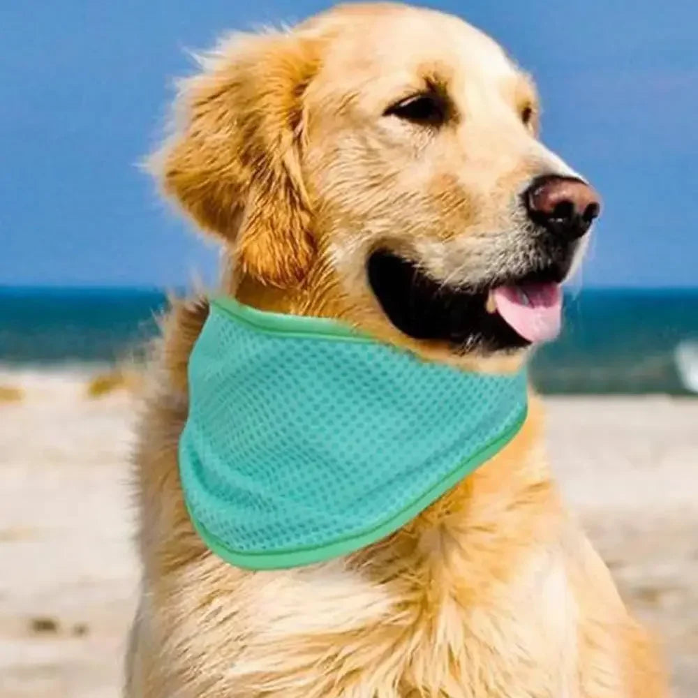 Cooling Bandana for Dogs – Super Absorbent Ice Towel Collar with Adjustable Carabiner | Reusable Summer Cooling Scarf for Medium & Large Dogs